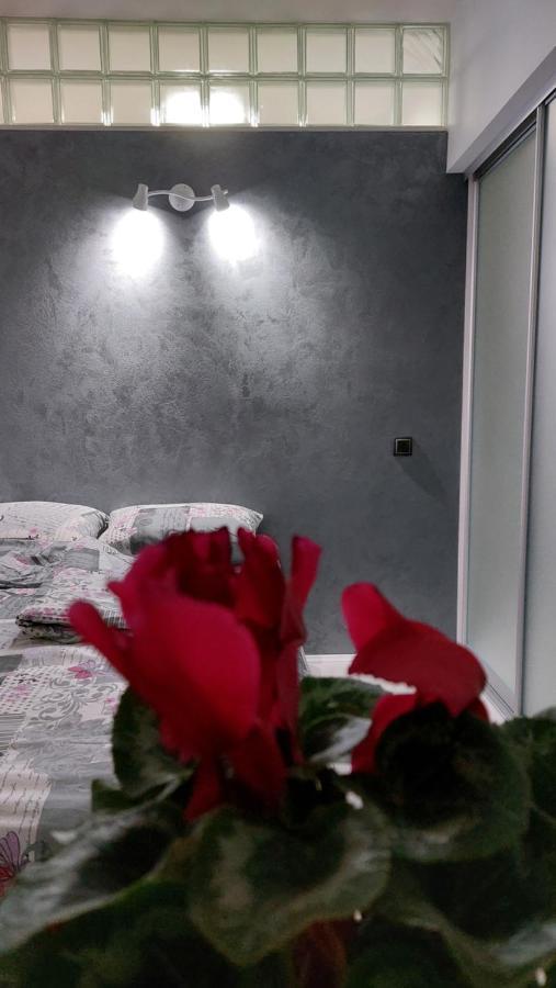 בלגרד Apartman 23 מראה חיצוני תמונה